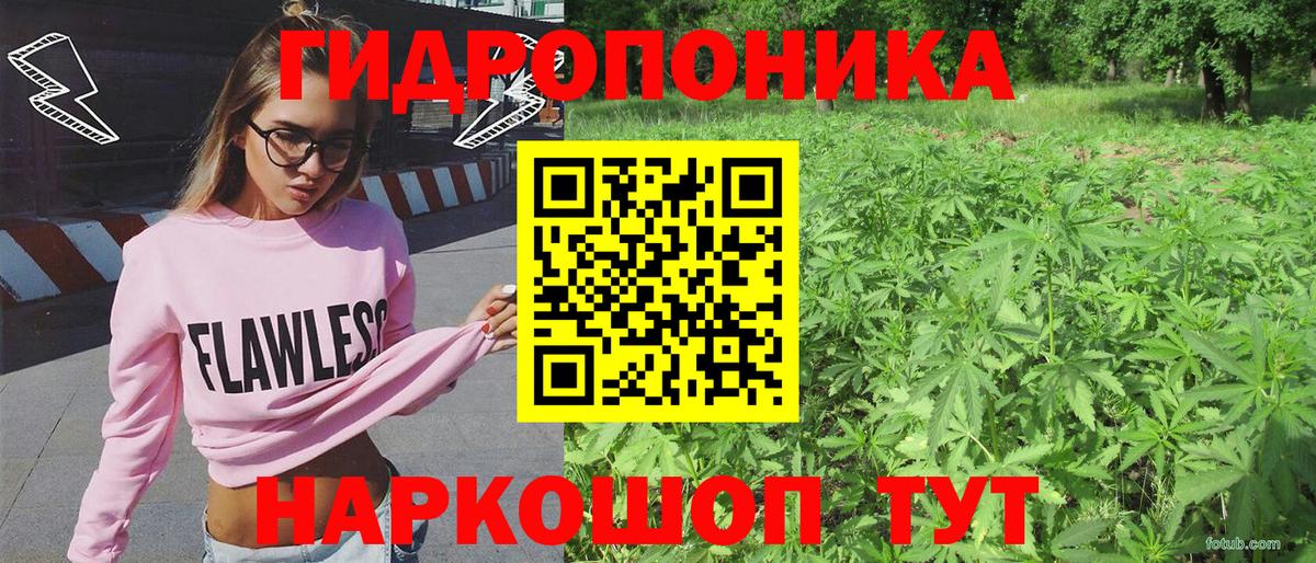 Бошки марихуана VHQ  Шишки марихуана ГИДРОПОН  Вход с VPN  Бошки марихуана VHQ  Алатырь 